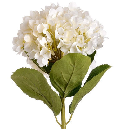 Artificial White Hydrangea with Long Stem & Oversized Bloom – Large Lifelike Faux White Hydrangea Flower with Realistic Green Foliage 73cm – White Hydrangea Bloom & Green Leaf Detail | Click Style