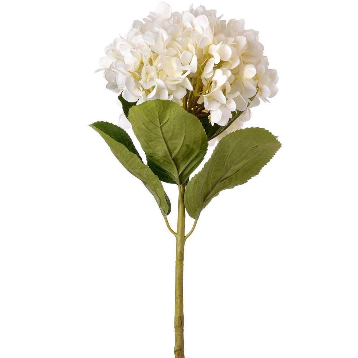 Artificial White Hydrangea with Long Stem & Oversized Bloom – Large Lifelike Faux White Hydrangea Flower with Realistic Green Foliage 73cm – Oversized Bloom & Foliage Detail | Click Style
