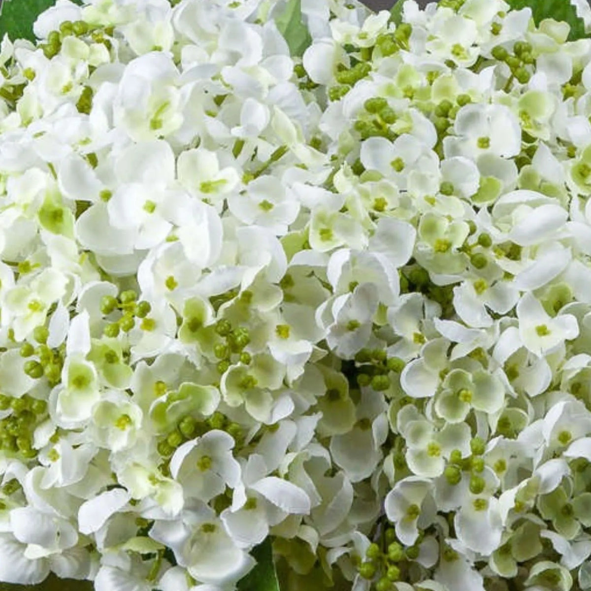 Artificial White Mophead Hydrangea Stem with Full Rounded Bloom & Realistic Green Foliage – Lifelike Faux White Hydrangea Flower 48cm – White Petal & Pale Green Centre Close-Up | Click Style