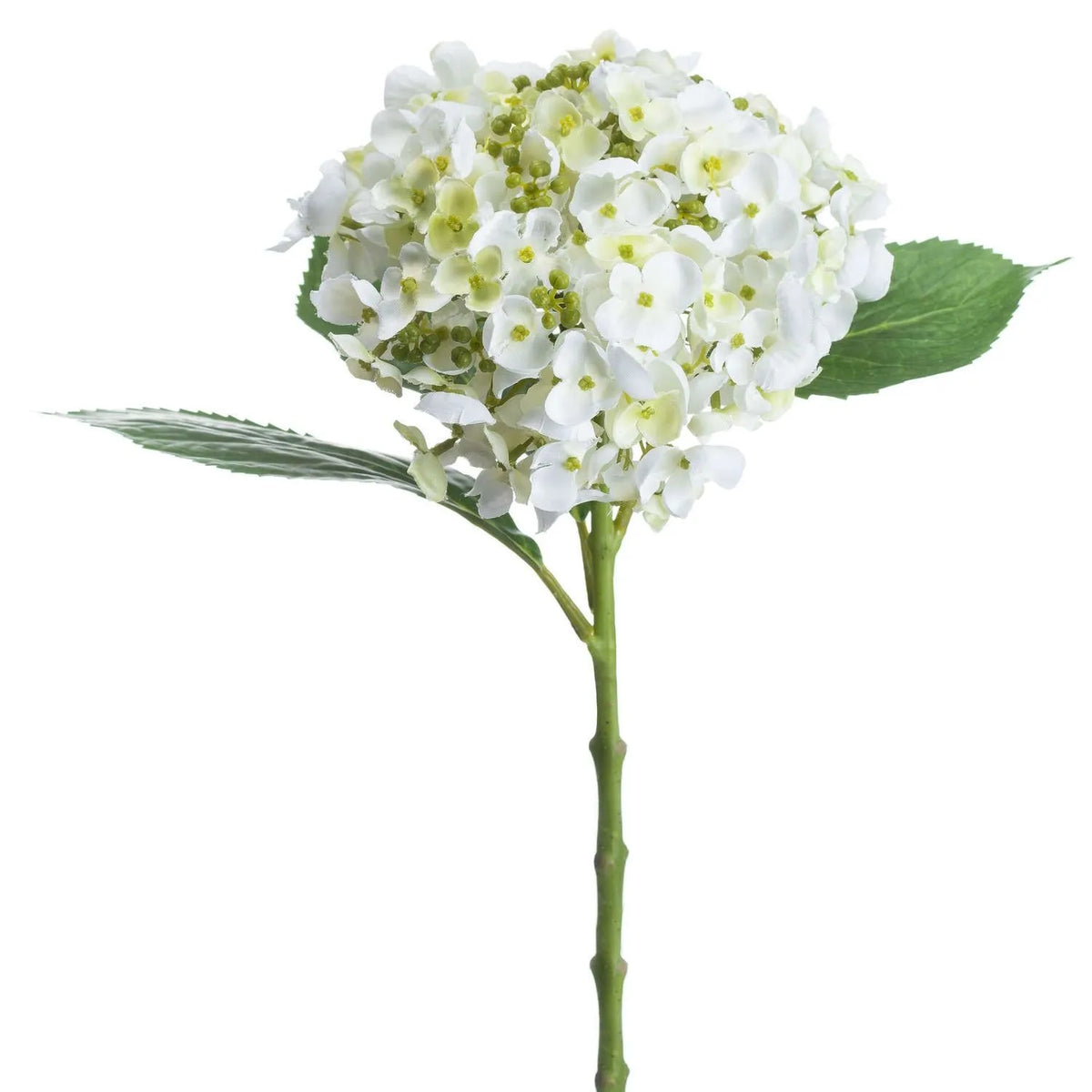 Artificial White Mophead Hydrangea Stem with Full Rounded Bloom & Realistic Green Foliage – Lifelike Faux White Hydrangea Flower 48cm – White Florets & Pale Green Bud Detail | Click Style