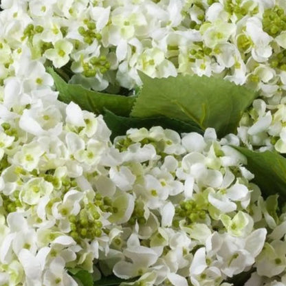 Artificial White Mophead Hydrangea Stem with Full Rounded Bloom & Realistic Green Foliage – Lifelike Faux White Hydrangea Flower 48cm – White Hydrangea Florets & Green Leaf Detail | Click Style