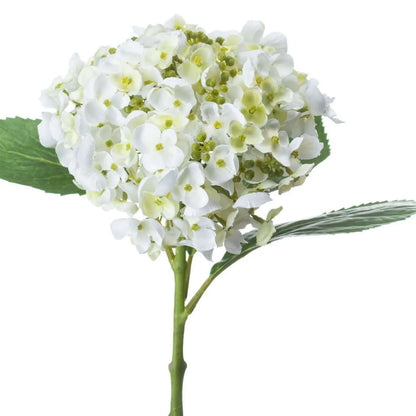 Artificial White Mophead Hydrangea Stem with Full Rounded Bloom & Realistic Green Foliage – Lifelike Faux White Hydrangea Flower 48cm – Full Rounded White Hydrangea Bloom Close-Up | Click Style