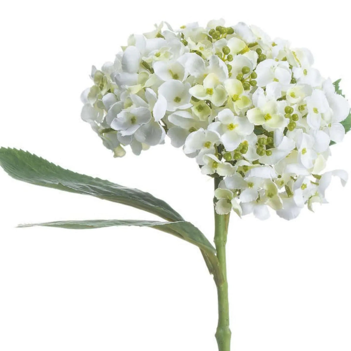 Artificial White Mophead Hydrangea Stem with Full Rounded Bloom & Realistic Green Foliage – Lifelike Faux White Hydrangea Flower 48cm – Rounded Bloom & Long Green Stem View | Click Style