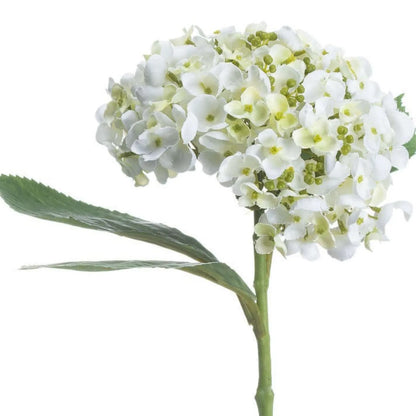 Artificial White Mophead Hydrangea Stem with Full Rounded Bloom & Realistic Green Foliage – Lifelike Faux White Hydrangea Flower 48cm – Rounded Bloom & Long Green Stem View | Click Style