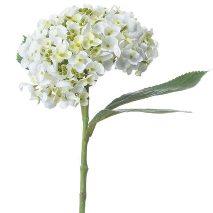 Artificial White Mophead Hydrangea Stem with Full Rounded Bloom & Realistic Green Foliage – Lifelike Faux White Hydrangea Flower 48cm – White Bloom & Green Foliage Detail | Click Style