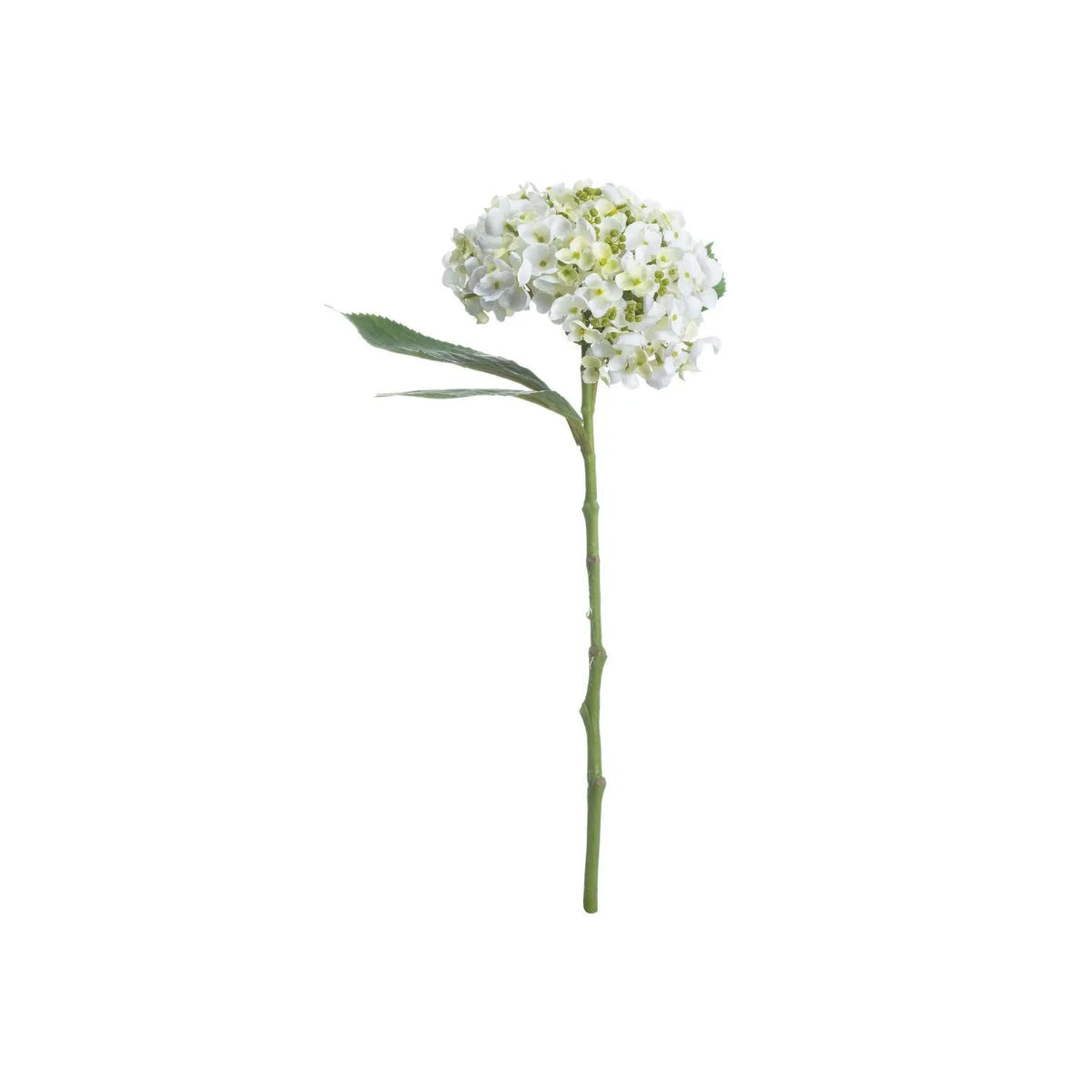 Artificial White Mophead Hydrangea Stem with Full Rounded Bloom & Realistic Green Foliage – Lifelike Faux White Hydrangea Flower 48cm – Full Stem View | Click Style
