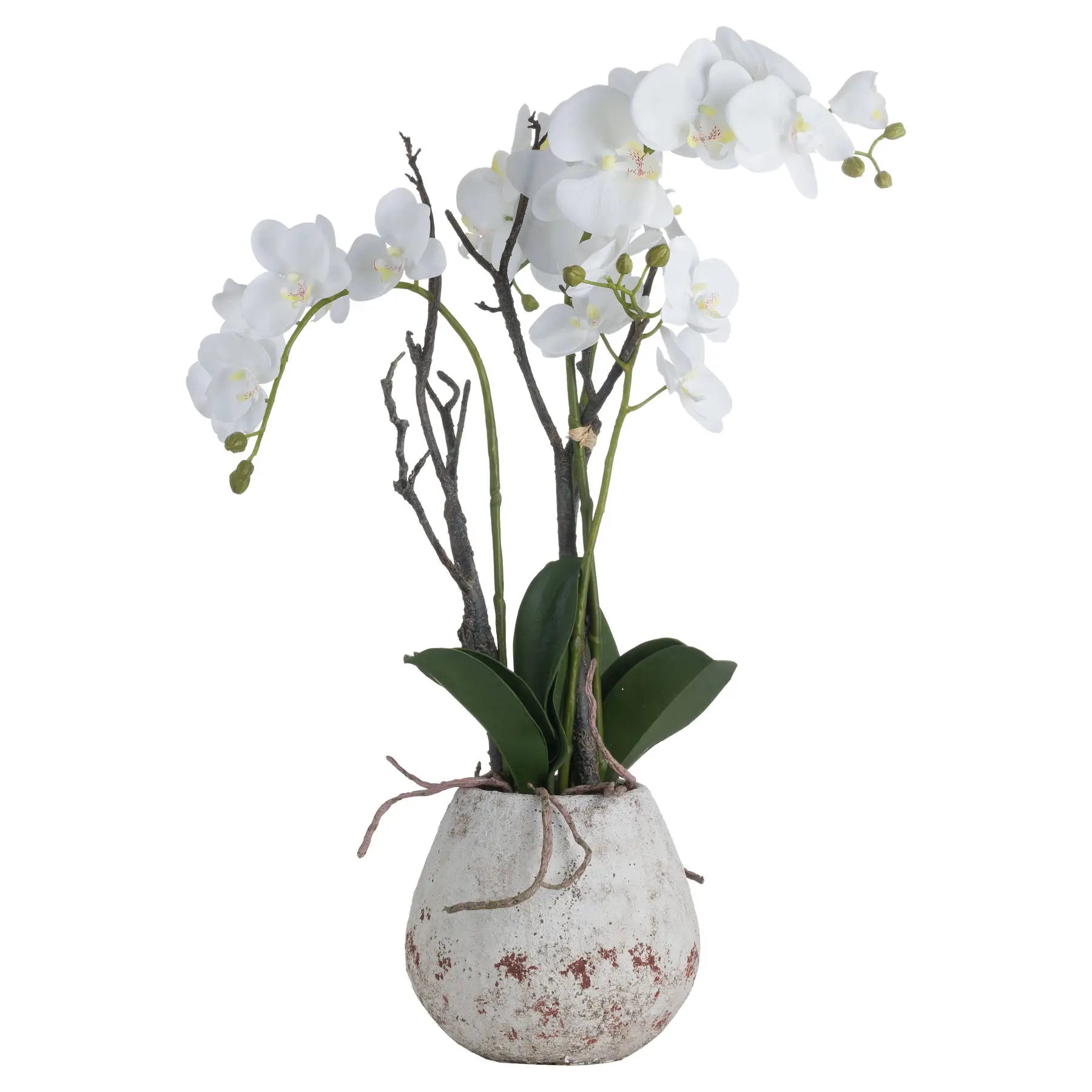 Artificial White Orchid in Stone Pot 70x46cm Faux Orchid - Click Style