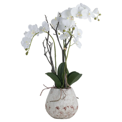 Artificial White Orchid in Stone Pot 70x46cm Faux Orchid - Click Style