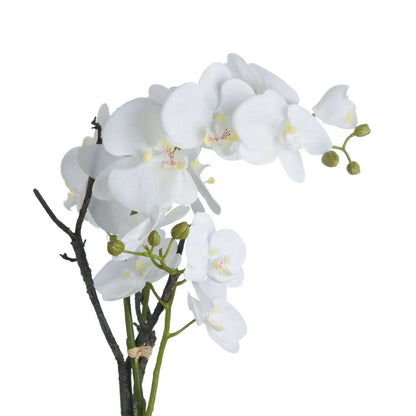 Artificial White Orchid in Stone Pot 70x46cm Faux Orchid - Click Style