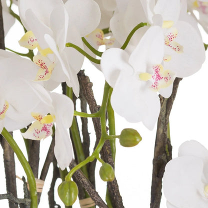 Artificial White Orchid with Cascading Blooms Dark Green Leaves & Realistic Roots in Weathered Stone Effect Pot – Large Potted Faux Orchid Arrangement 70x60x60cm – Detailed Close-Up of White Orchid Blooms with Delicate Pink Speckled Yellow Centres and Green Buds | Click Style
