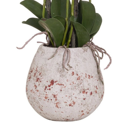 Artificial White Orchid with Cascading Blooms Dark Green Leaves & Realistic Roots in Weathered Stone Effect Pot – Large Potted Faux Orchid Arrangement 70x60x60cm – Detailed View of Rounded Stone Effect Pot with Distressed Reddish Brown Markings and Trailing Orchid Roots | Click Style
