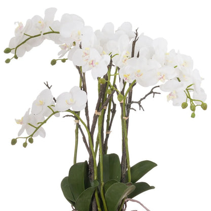 Artificial White Orchid with Cascading Blooms Dark Green Leaves & Realistic Roots in Weathered Stone Effect Pot – Large Potted Faux Orchid Arrangement 70x60x60cm – Alternate View Showing Arching White Orchid Blooms Green Buds and Natural Looking Woody Branches | Click Style