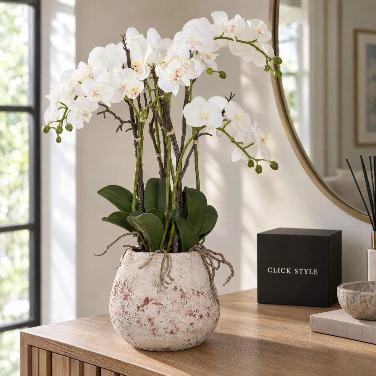 Artificial White Orchid with Cascading Blooms Dark Green Leaves & Realistic Roots in Weathered Stone Effect Pot – Large Potted Faux Orchid Arrangement 70x60x60cm displayed on an oak console table with black CLICK STYLE presentation box | Click Style