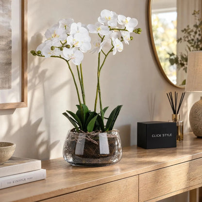 Artificial White Orchid with Realistic Exposed Roots & Dark Green Leaves in Clear Glass Bowl – Lifelike Potted Faux Orchid Plant Arrangement 61x21x21cm styled on a natural oak console table | Click Style