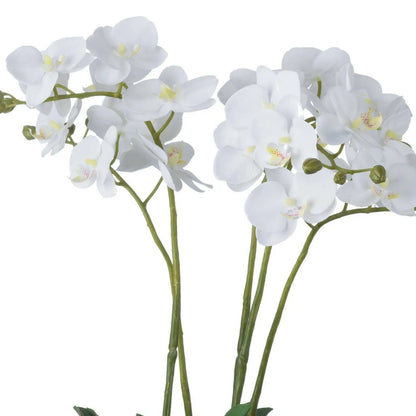 Artificial White Orchid with branching green stems, realistic white flowers and unopened buds viewed from the reverse | Click Style