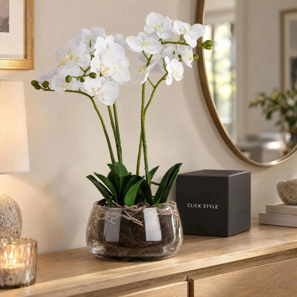 Artificial White Orchid with Realistic Exposed Roots & Dark Green Leaves in Clear Glass Bowl – Lifelike Potted Faux Orchid Plant Arrangement 61x21x21cm with white blooms and green buds displayed beside a black CLICK STYLE presentation box | Click Style