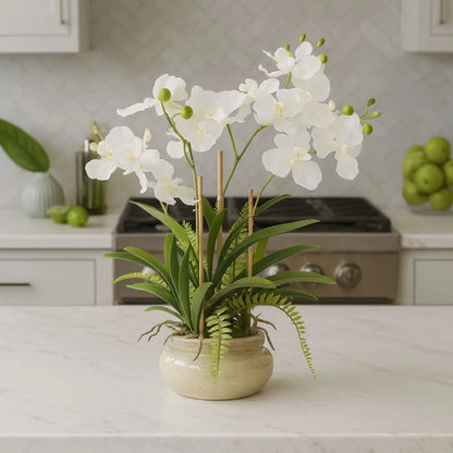 Artificial White Phalaenopsis Orchid Plant With Ferns In Rotund Glazed Ceramic Pot – Realistic Indoor Potted Faux Flower Arrangement With Lush Green Fern Foliage 68x75x56cm | Click Style