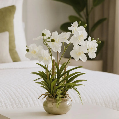 Artificial White Phalaenopsis Orchid Plant With Ferns In Rotund Glazed Ceramic Pot – Realistic Indoor Potted Faux Flower Arrangement With Lush Green Fern Foliage 68x75x56cm | Click Style