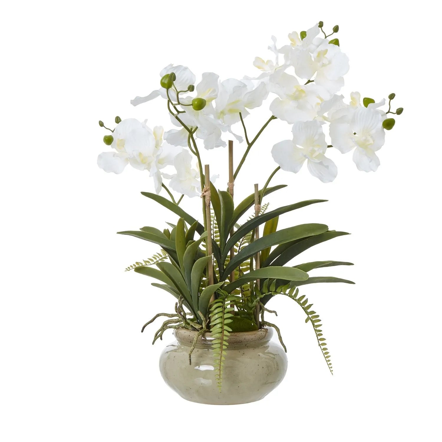 Artificial White Phalaenopsis Orchid Plant With Ferns In Rotund Glazed Ceramic Pot – Realistic Indoor Potted Faux Flower Arrangement With Lush Green Fern Foliage 68x75x56cm | Click Style