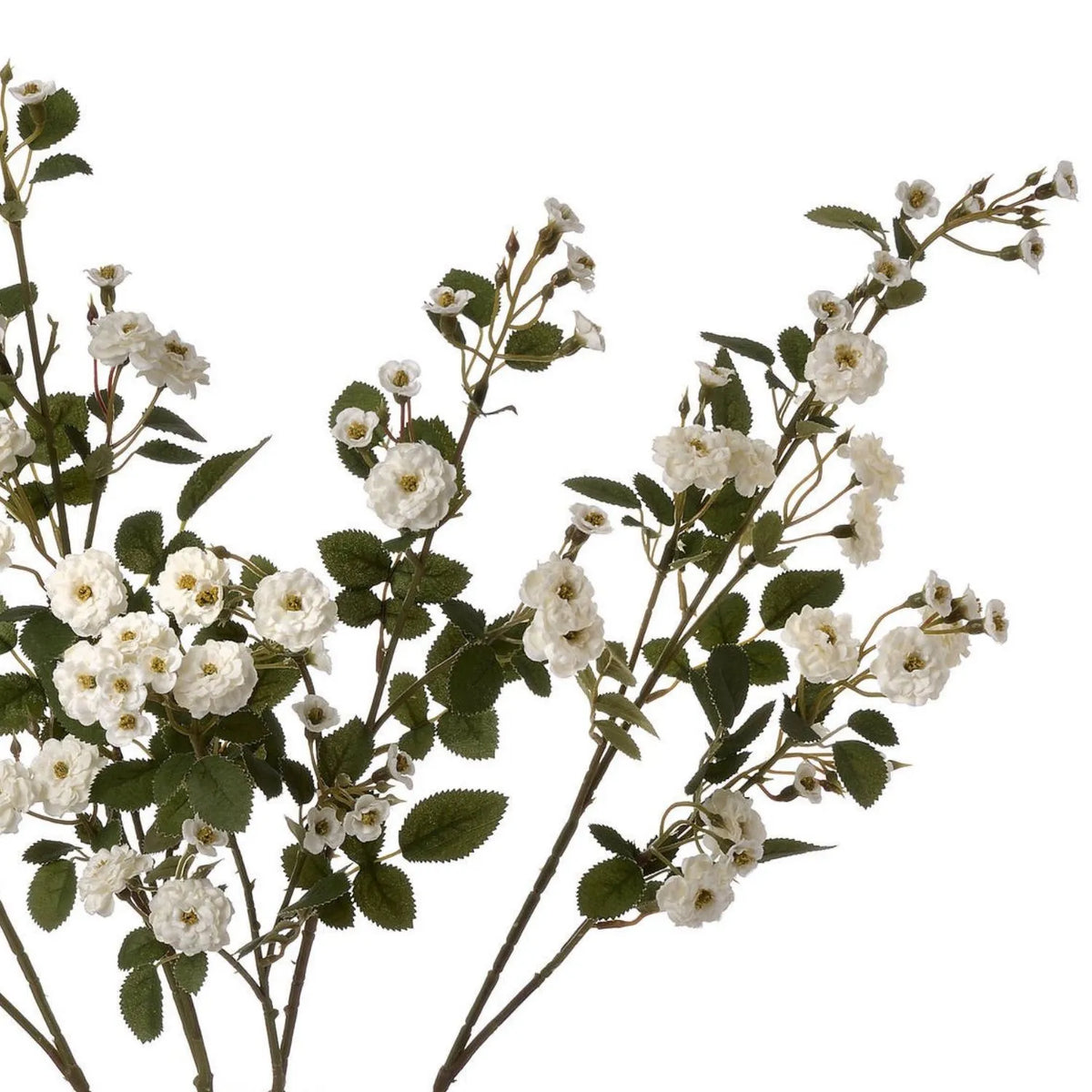 Artificial White Wild Meadow Rose Spray with Long Stem Multiple Blooms & Rosebuds – Lifelike White Faux Rose Flowers with Realistic Green Foliage 74cm – Detailed View of Multiple Stems White Blooms Rosebuds & Serrated Green Foliage | Click Style