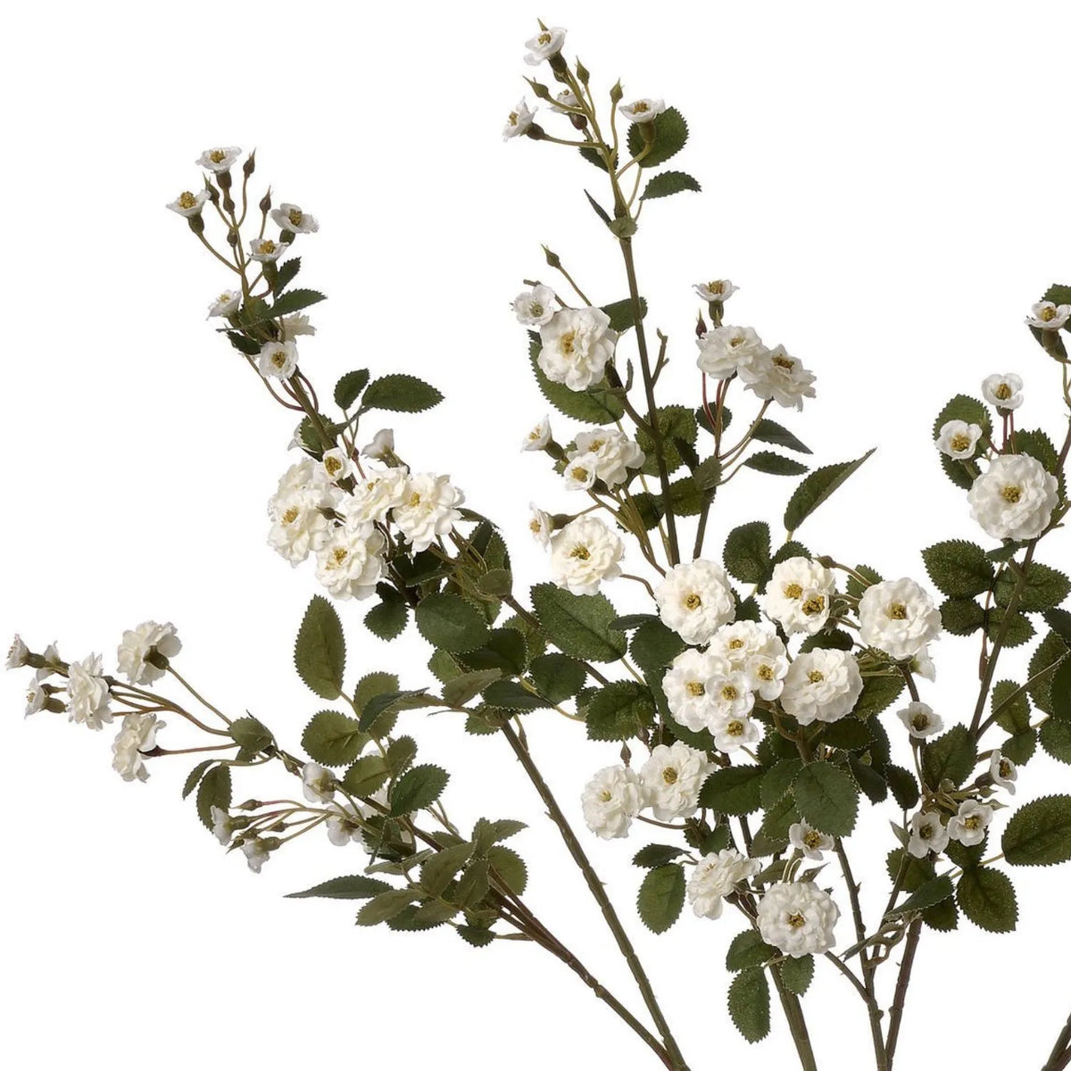 Artificial White Wild Meadow Rose Spray with Long Stem Multiple Blooms & Rosebuds – Lifelike White Faux Rose Flowers with Realistic Green Foliage 74cm – Multiple Stems Showing White Blooms Rosebuds & Branching Foliage | Click Style