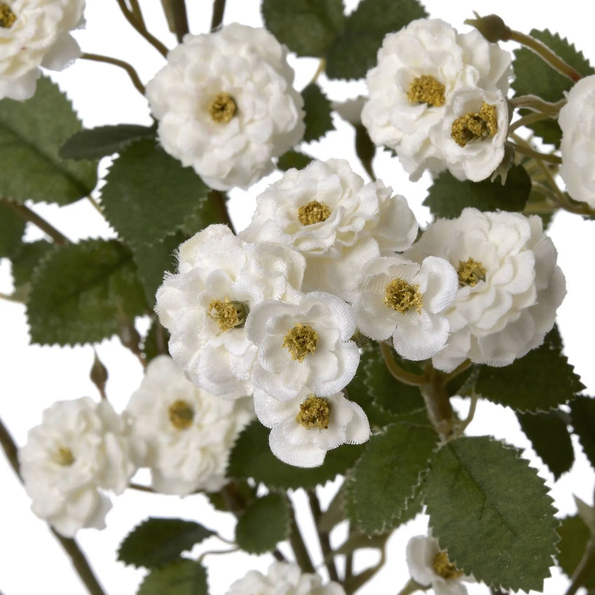 Artificial White Wild Meadow Rose Spray with Long Stem Multiple Blooms & Rosebuds – Lifelike White Faux Rose Flowers with Realistic Green Foliage 74cm – Close-Up of White Blooms Golden Centres & Serrated Green Leaves | Click Style