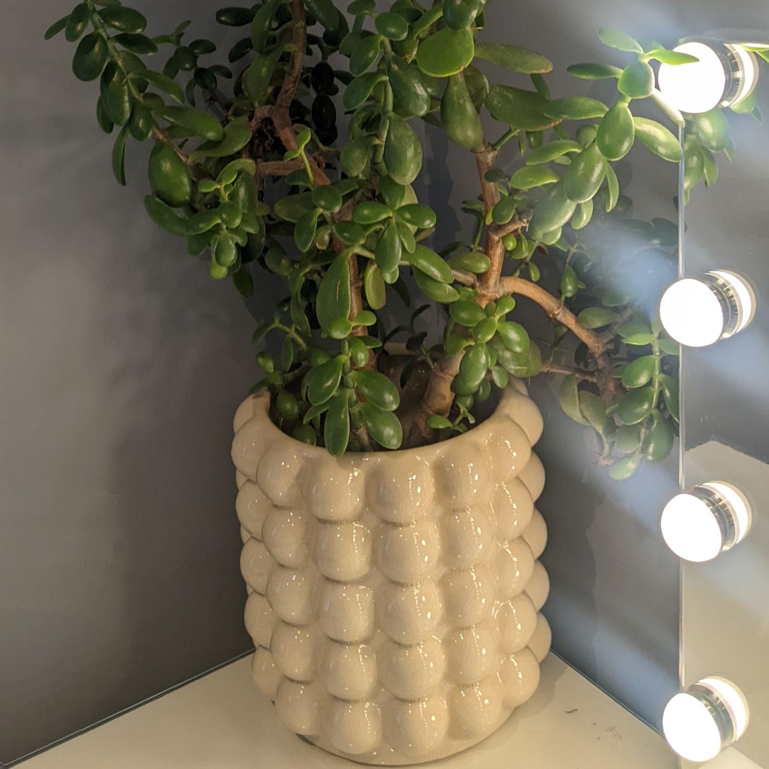 cream plant pot Large Cream Bubble Planter – Click Style
