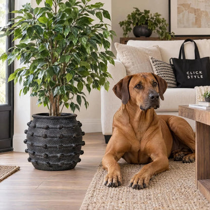 Black Bobbled Fibrestone Planter with Rolled Rim & Raised Textured Detail – Decorative Indoor Plant Pot 29x32x32cm – Artificial Ficus with Brodie & CLICK STYLE Tote | Click Style