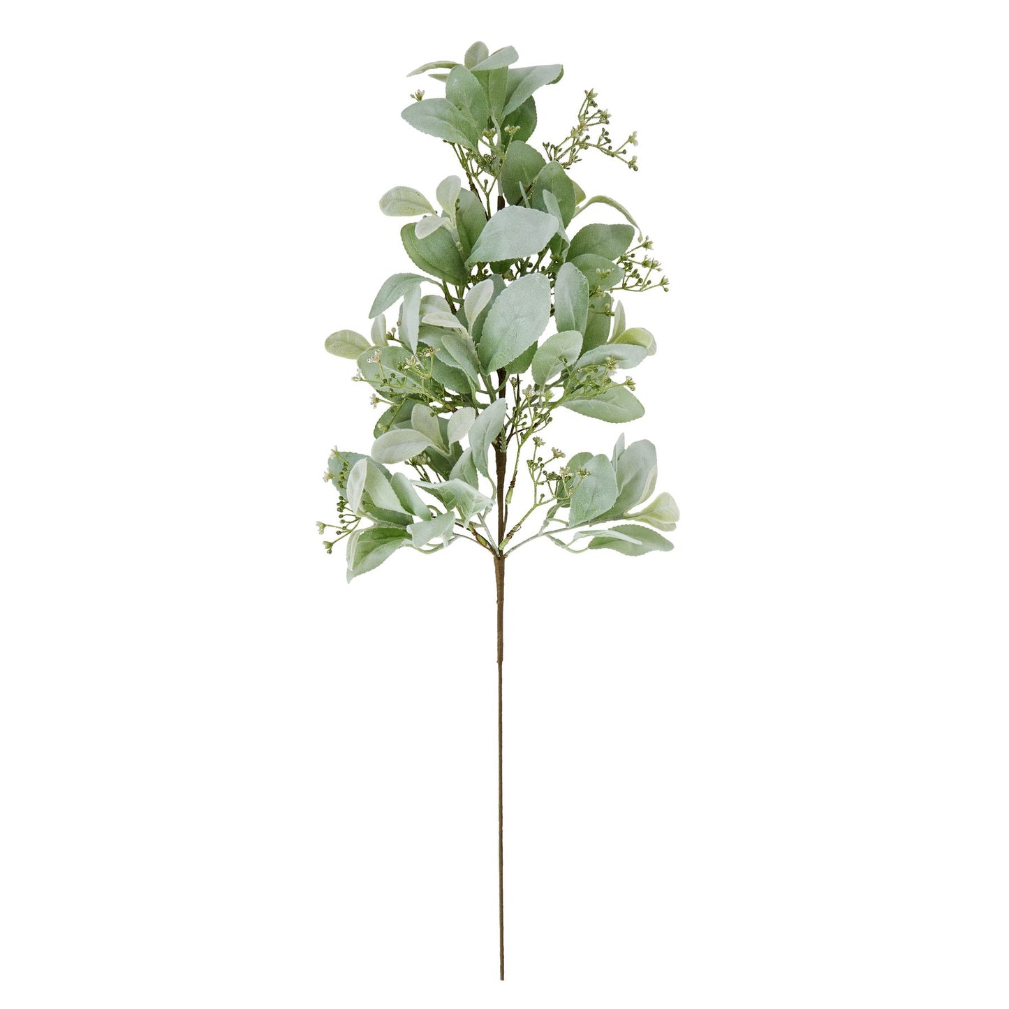 Lamb’s Ear & Wax Flower Sprig - Click Style