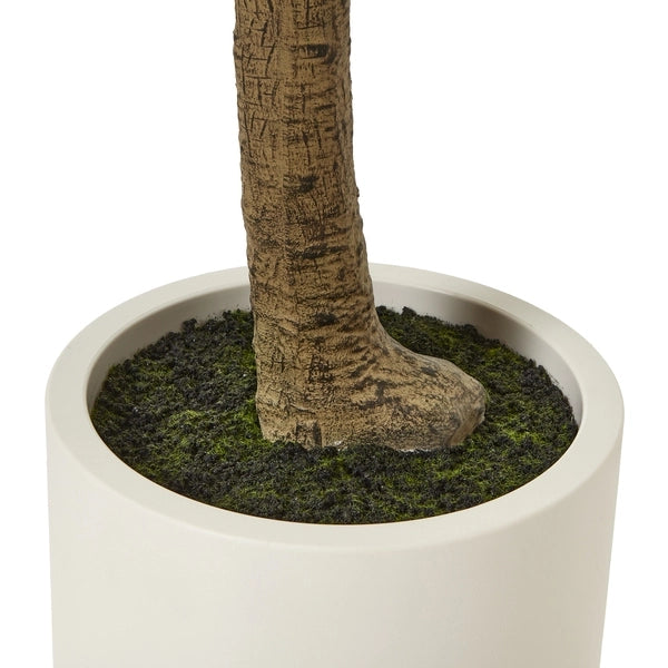 Large Artificial Olive Tree in White Pot with Black Olives 240cm Tall Faux Olive Tree - Click Style