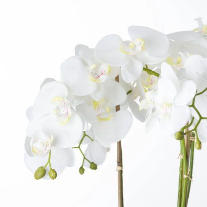 Artificial White Orchid Flower Detail Showing Overlapping White Petals and Delicate Yellow and Pink-Speckled Centres | Click Style