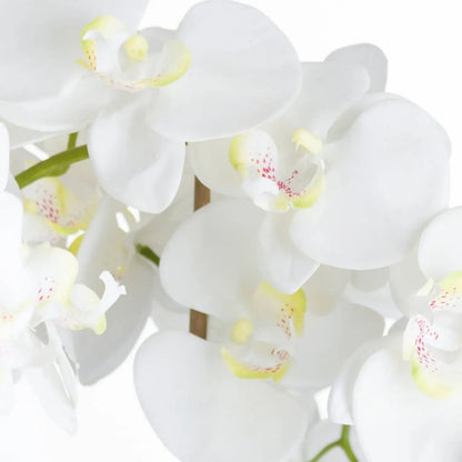 Large Artificial White Orchid with Dark Green Leaves Textured Moss Trailing Roots and Two-Tone Grey Stone Effect Pot | Click Style
