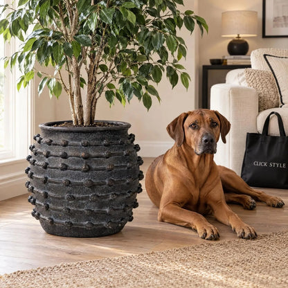 Large Black Bobbled Fibrestone Planter with Rolled Rim & Raised Textured Detail – Decorative Indoor Plant Pot 39x42x42cm – Styled with Artificial Ficus Tree & Rhodesian Ridgeback | Click Style