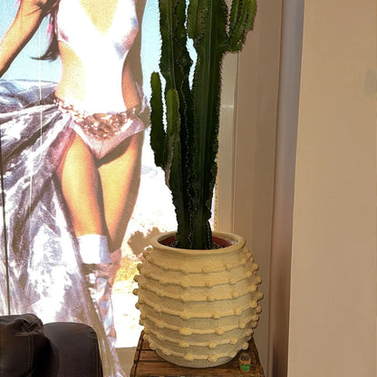 Neutral Beige Cream Bobbled Fibrestone Decorative Planter with Textured Stone-Effect Finish – Large Indoor Plant Pot 39x42x42cm – Styled with Tall Cactus in a Customer’s Business | Click Style