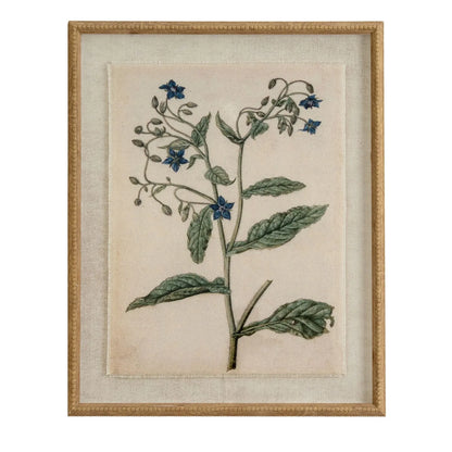 Neutral Botanical Borage Flower Print Framed Wall Art with Beaded Wooden Frame 40x50x2cm | Click Style