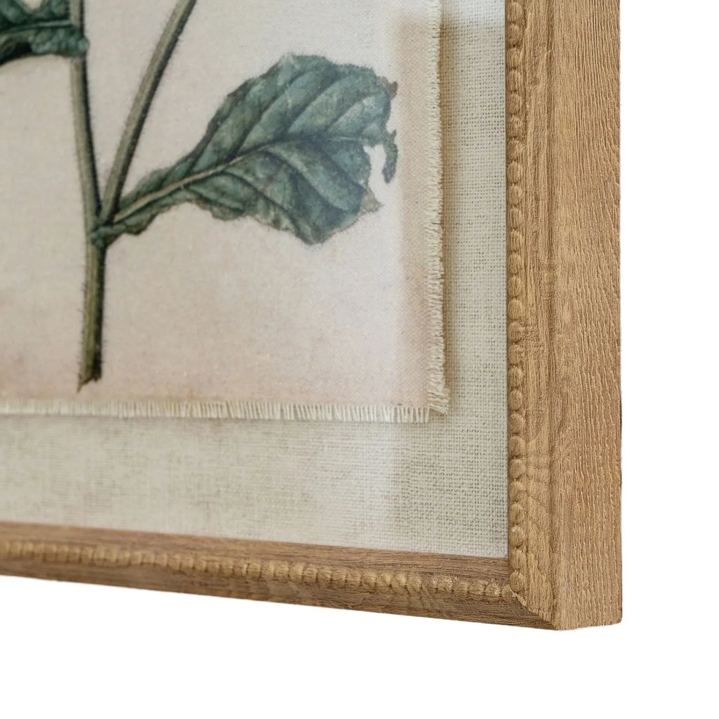 Neutral Botanical Borage Flower Print Framed Wall Art with Beaded Wooden Frame 40x50x2cm | Click Style
