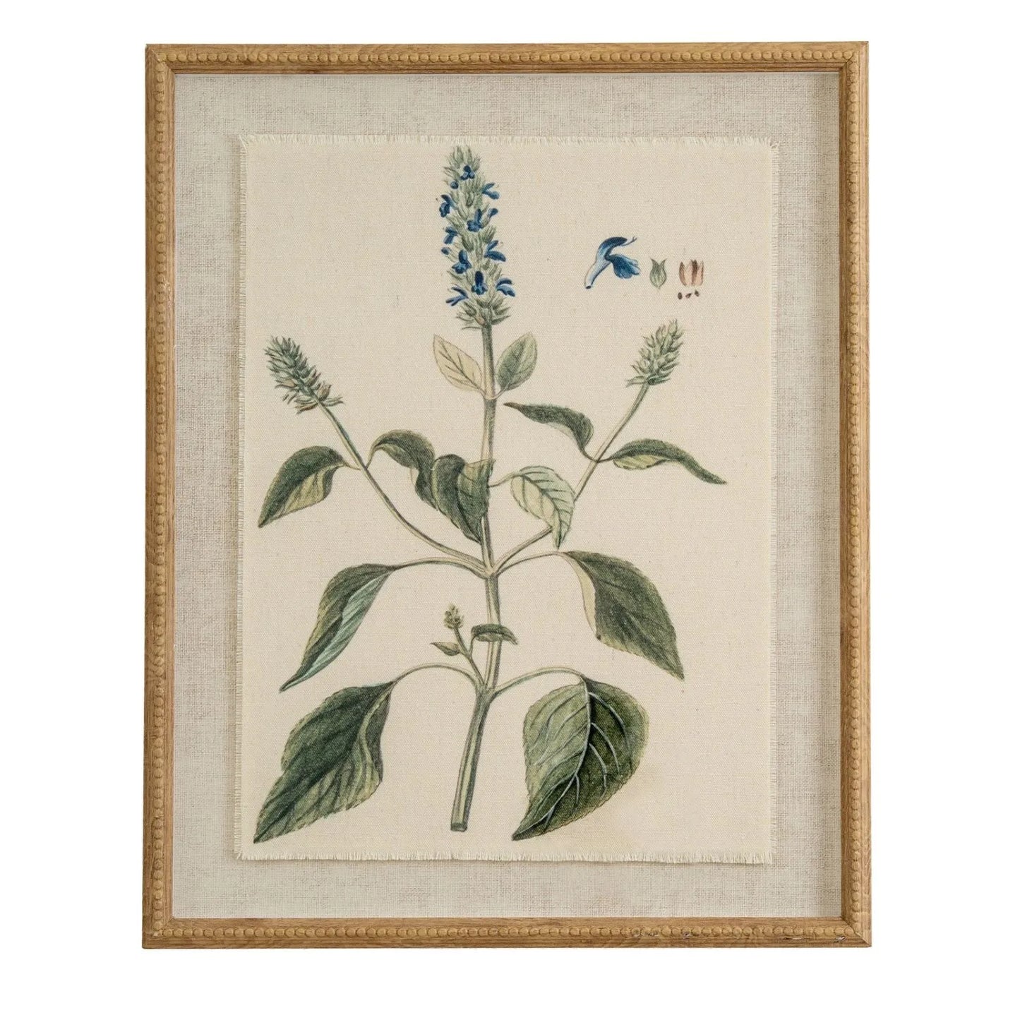 Neutral Botanical Common Sage Salvia Print with Beaded Wooden Frame – Framed Wall Art 40x50x2cm | Click Style