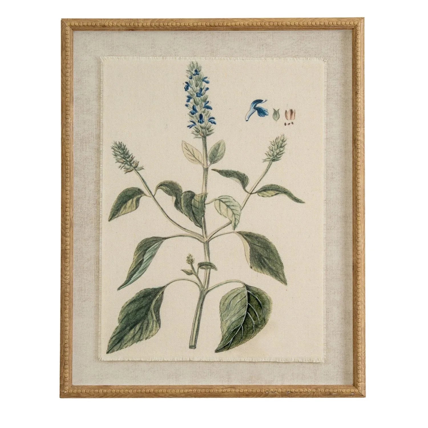 Neutral Botanical Common Sage Salvia Print with Beaded Wooden Frame – Framed Wall Art 40x50x2cm | Click Style
