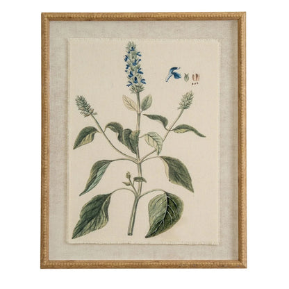 Neutral Botanical Common Sage Salvia Print with Beaded Wooden Frame – Framed Wall Art 40x50x2cm | Click Style