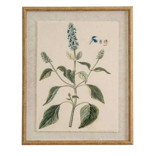 Neutral Botanical Common Sage Salvia Print with Beaded Wooden Frame – Framed Wall Art 40x50x2cm | Click Style