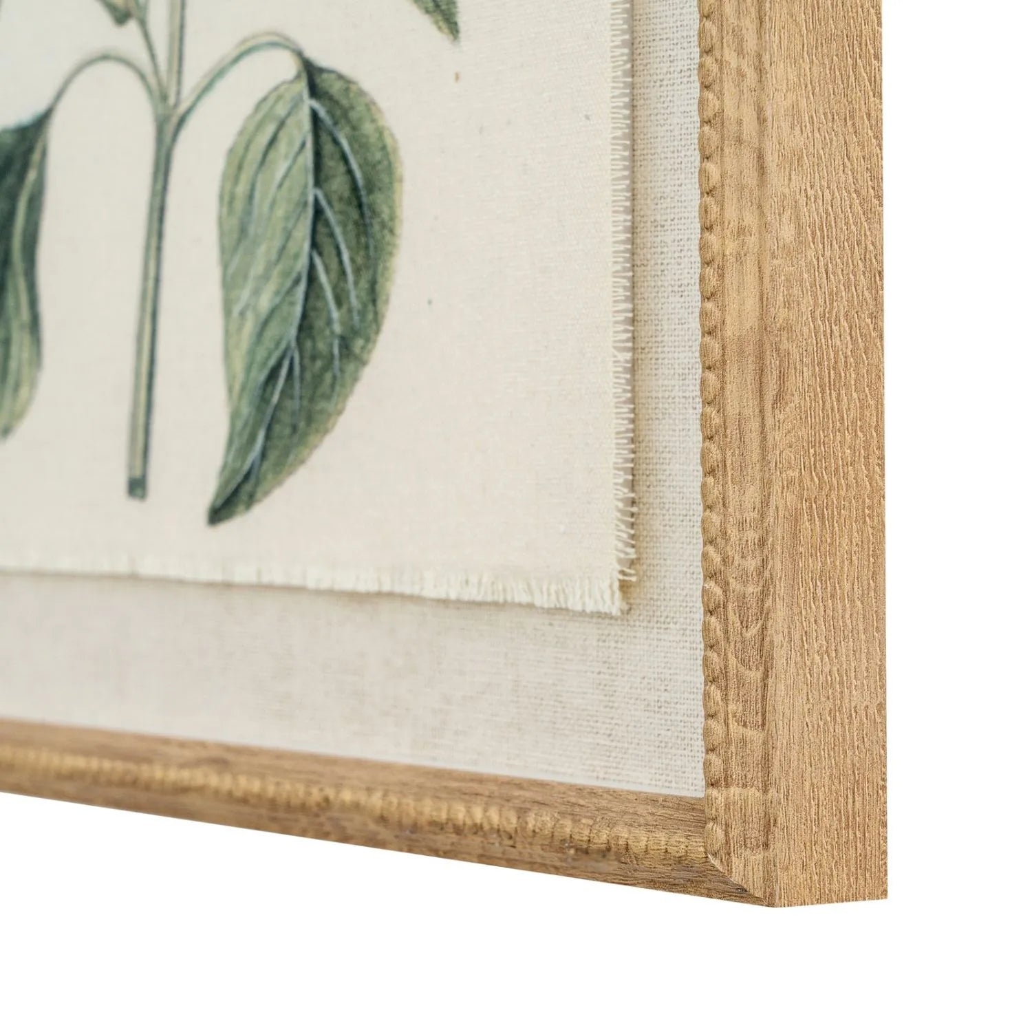 Neutral Botanical Common Sage Salvia Print with Beaded Wooden Frame – Framed Wall Art 40x50x2cm | Click Style