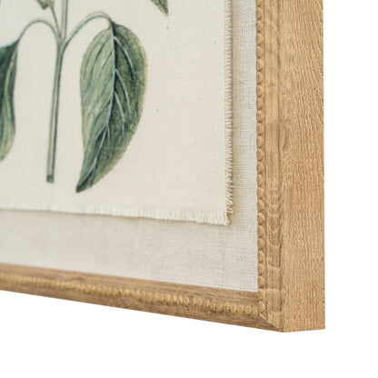Neutral Botanical Common Sage Salvia Print with Beaded Wooden Frame – Framed Wall Art 40x50x2cm | Click Style