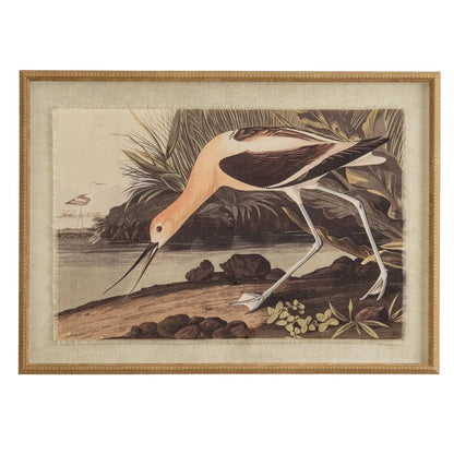 Neutral Ornithological Avocet Bird Print with Linen Background – Beaded Wooden Frame Framed Wall Art 62x45x2cm | Click Style