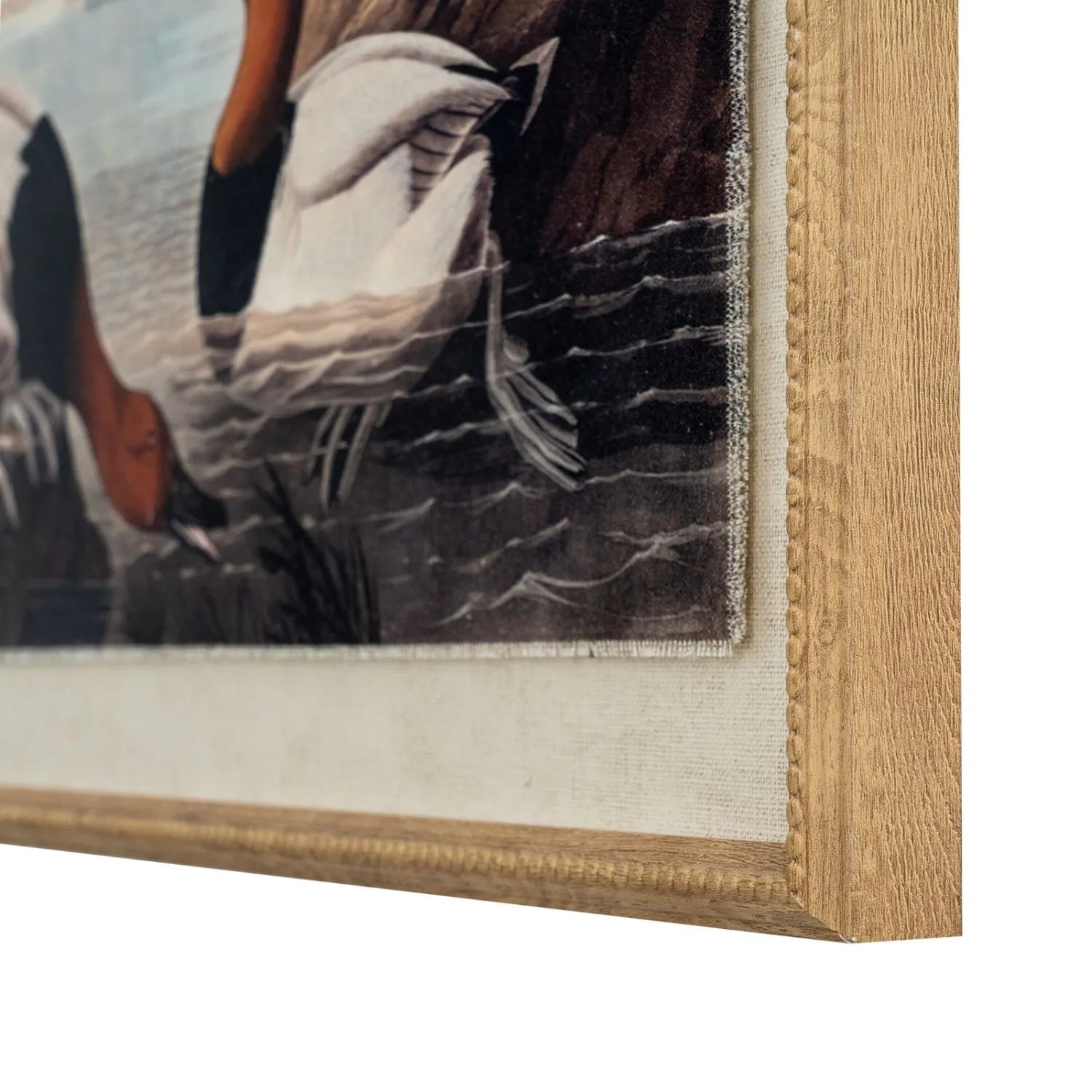 Neutral Ornithological Canvasback Duck Print with Linen Background – Beaded Wooden Frame Framed Wall Art 62x45x2cm | Click Style