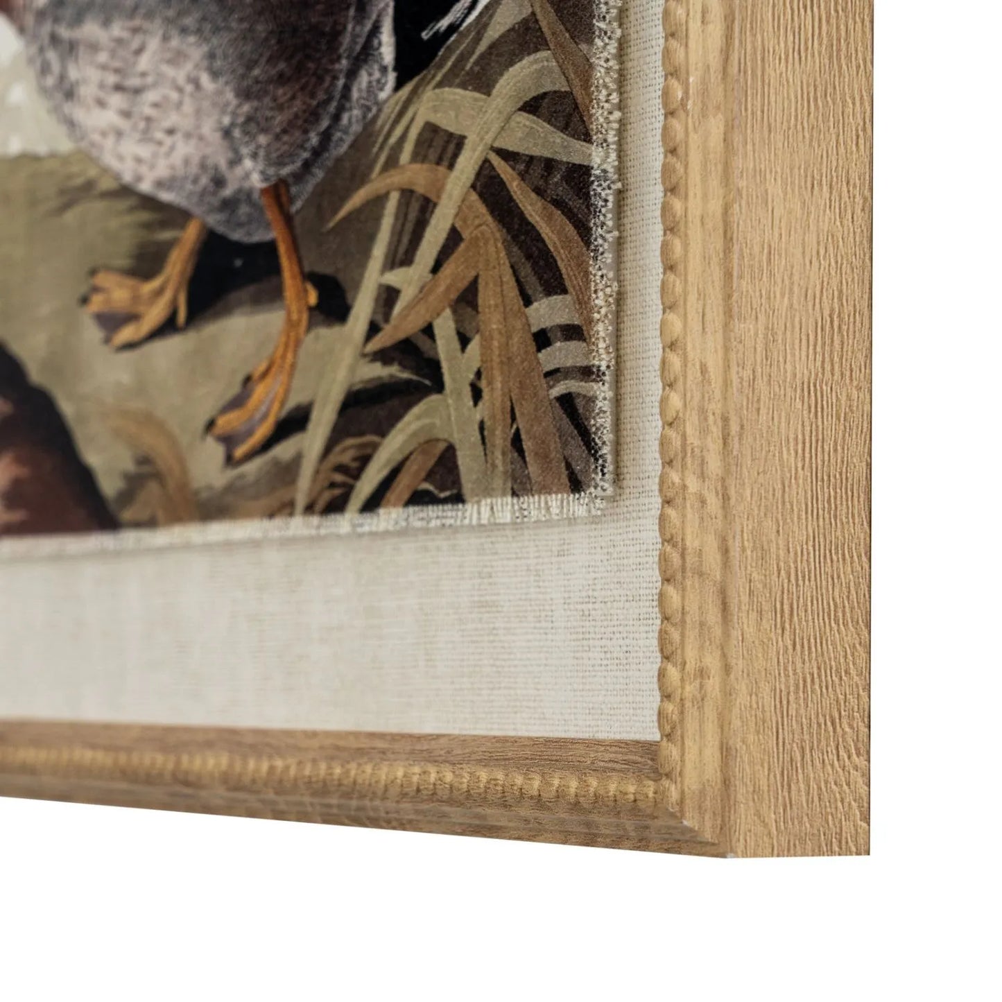 Neutral Ornithological Duck Bird Print with Linen Background – Beaded Wooden Frame Framed Wall Art 40x50x2cm | Click Style