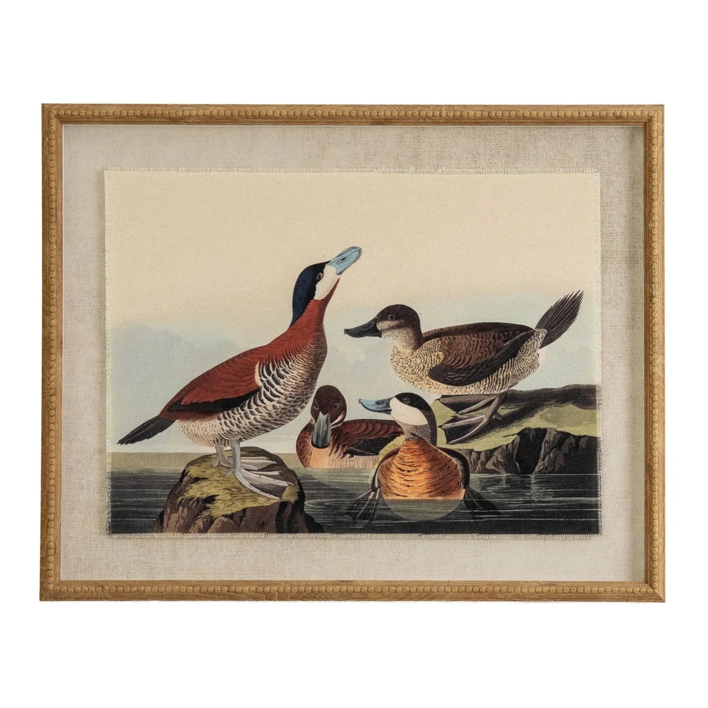 Neutral Ornithological Ducks Bird Print with Linen Background – Beaded Wooden Frame Framed Wall Art 40x50x2cm | Click Style