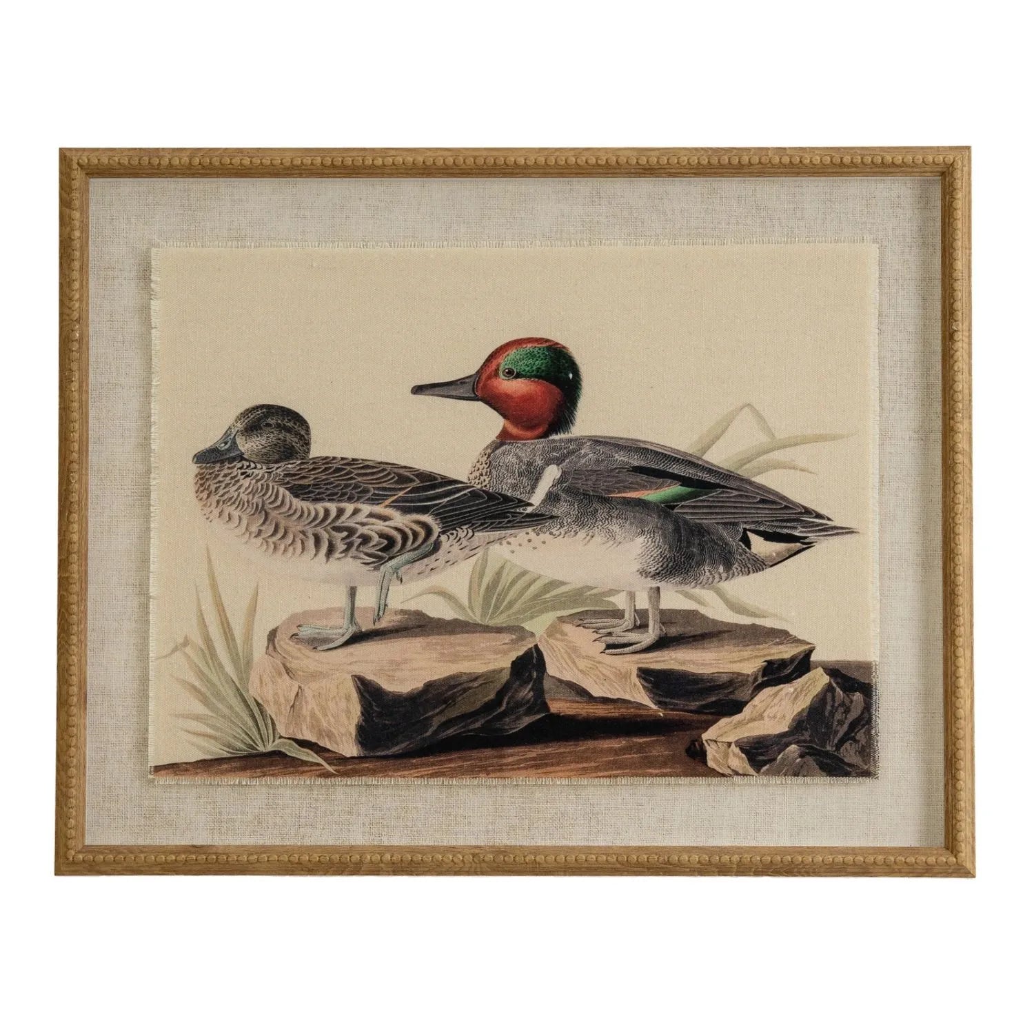 Neutral Ornithological Eurasian Teal Bird Print with Linen Background – Beaded Wooden Frame Framed Wall Art 40x50x2cm | Click Style