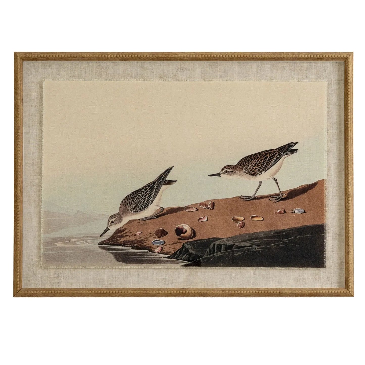 Neutral Ornithological Little Stint Bird Print with Linen Background – Beaded Wooden Frame Framed Wall Art 62x45x2cm | Click Style