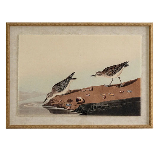 Neutral Ornithological Little Stint Bird Print with Linen Background – Beaded Wooden Frame Framed Wall Art 62x45x2cm | Click Style