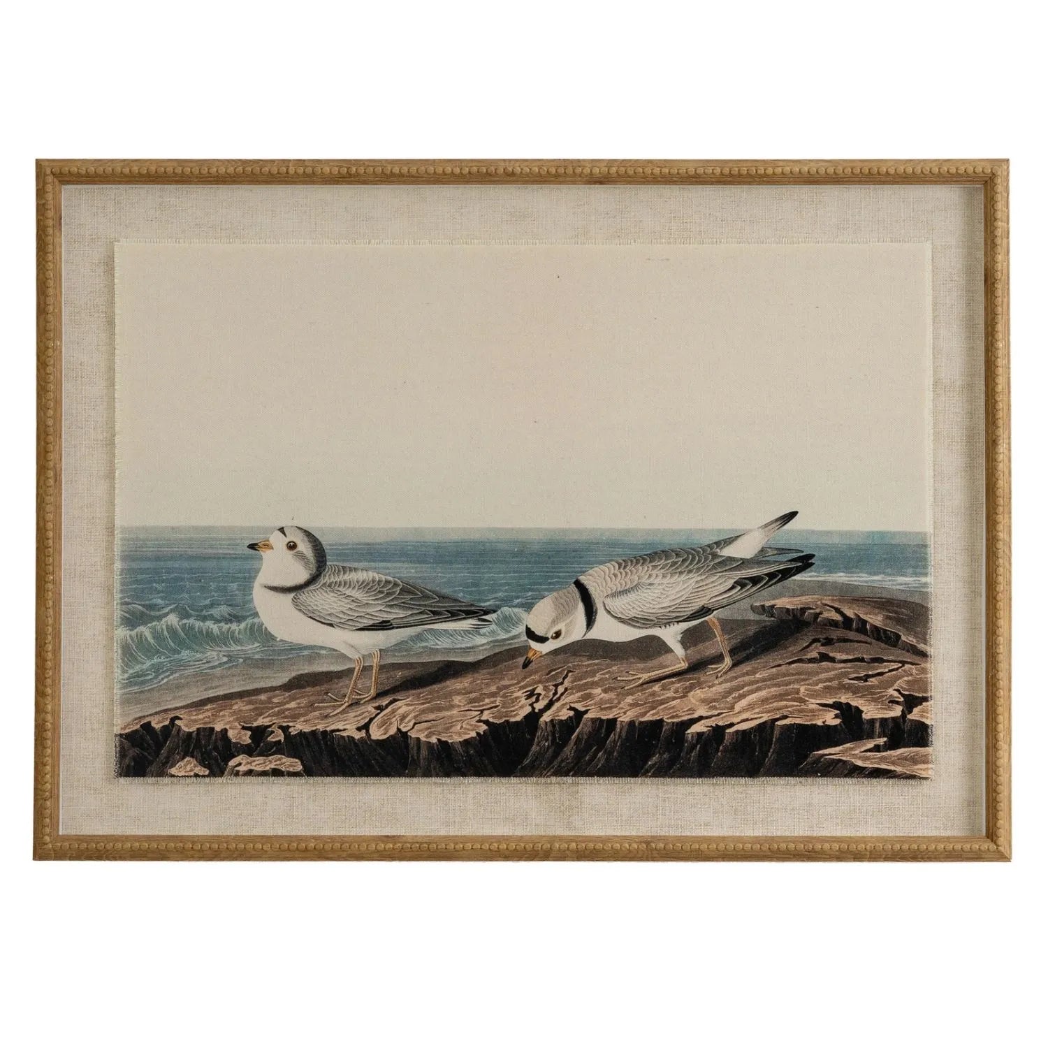 Neutral Ornithological Piping Plover Bird Print with Linen Background – Beaded Wooden Frame Framed Wall Art 62x45x2cm | Click Style